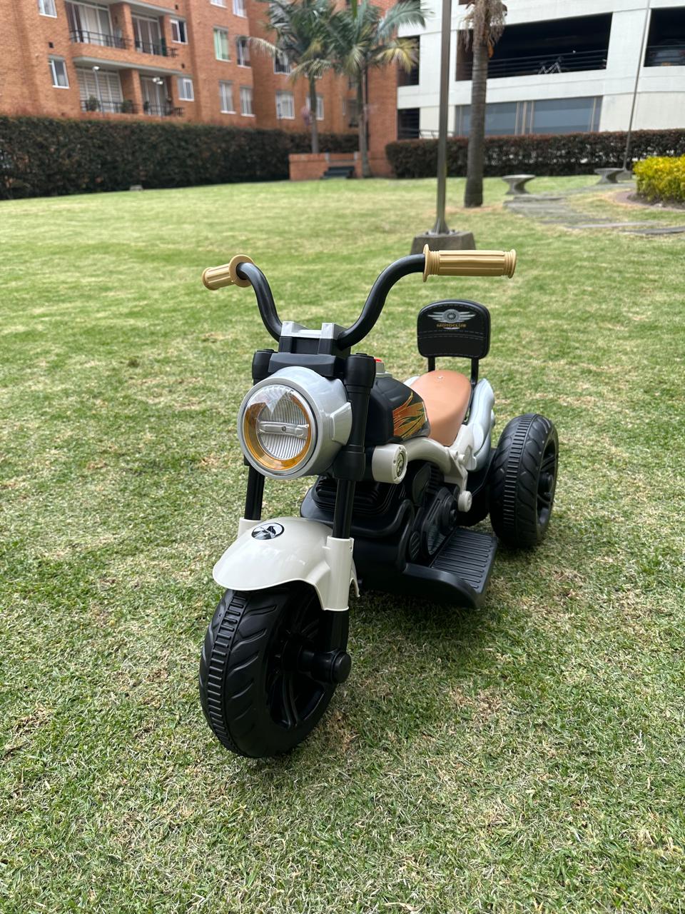 Moto Eléctrica Montable Harley